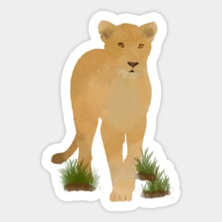 Watercolor Lioness Stalking Sticker